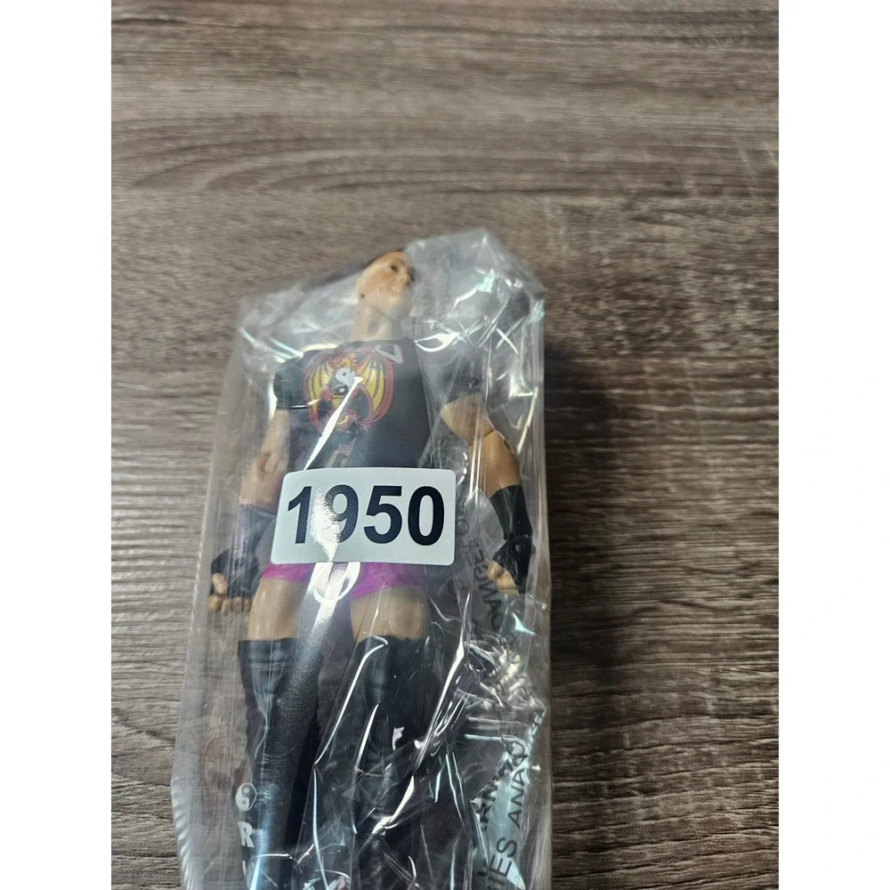 Rob Van Dam Mattel Basic Action Figure Wrestling Supestar‎ Entrances